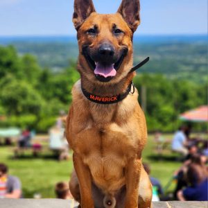 5-Week Behavior Modification Program