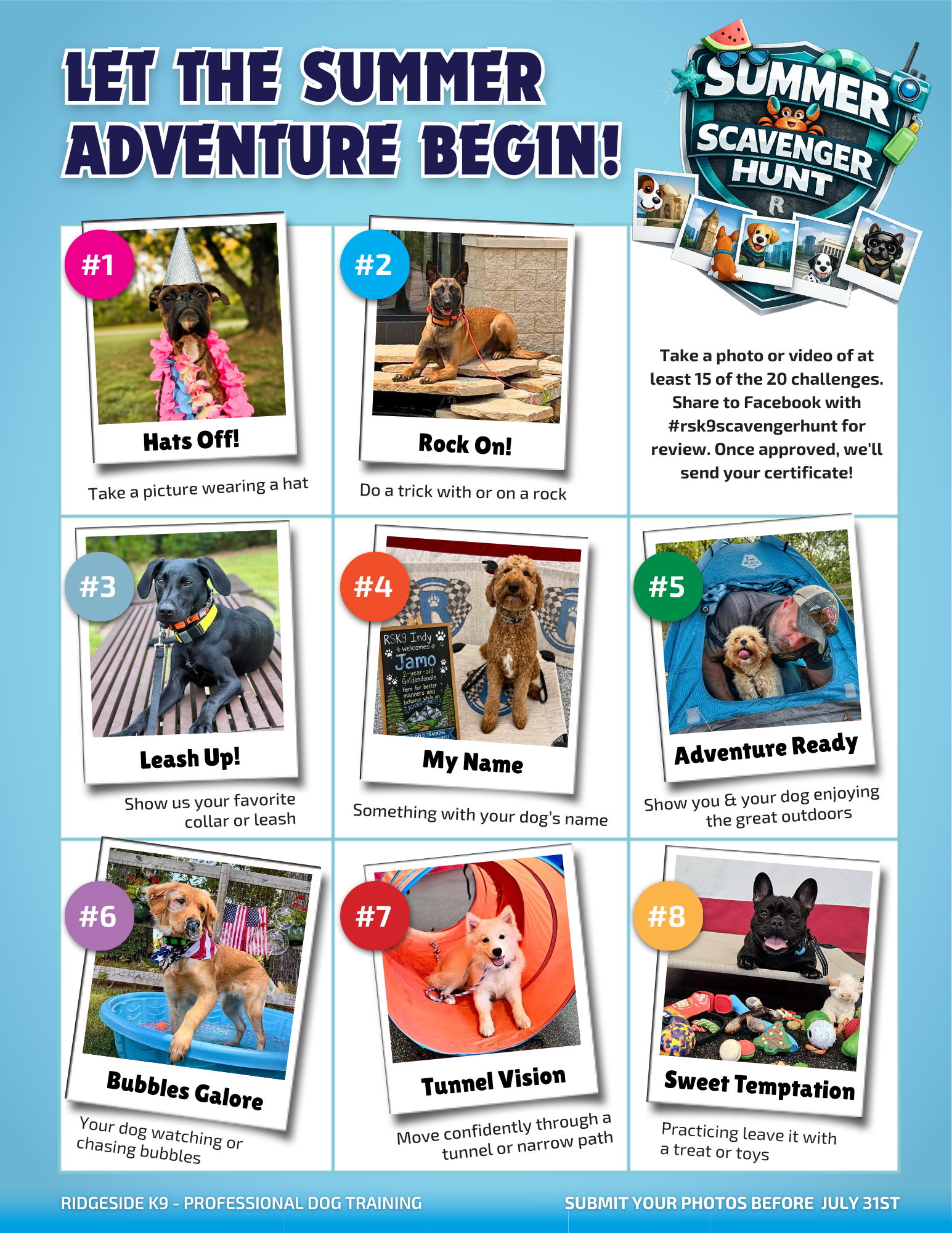 Ridgeside K9 Summer Scavenger Hunt, Let the Summer Adventure Begin